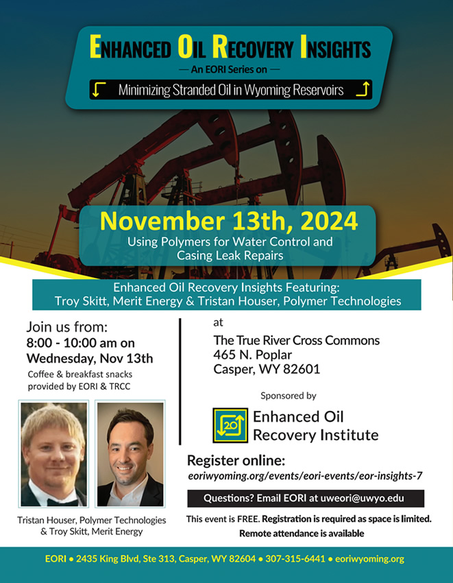 Enhanced Oil Recovery Insights