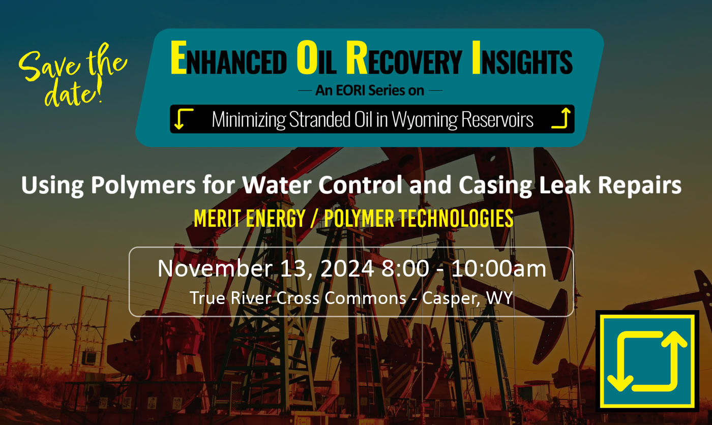 EOR Insights – Using Polymers for Water Control and Casing Leak Repairs