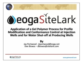 Application of a Gel Polymer Process for Profile Modification and Conformance Control at Injection Wells and for Water Shut-off at Producing Wells