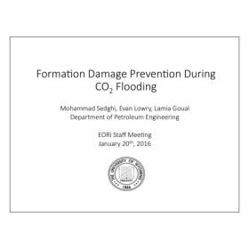 Formation Damage Prevention During CO2 Flooding