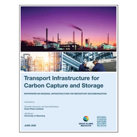 Transport Infrastructure for Carbon Capture and Storage