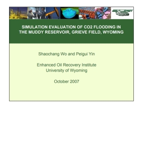 Simulation evaluation of CO2 flooding in the muddy reservoir