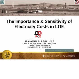 The Importance & Sensitivity of Electricity Costs in LOE