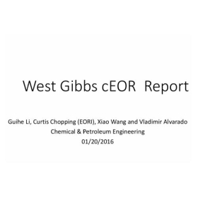 West Gibbs cEOR Report