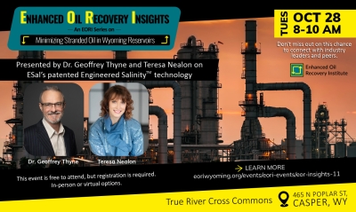 Enhanced Oil Recovery Insights