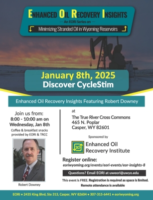 Enhanced Oil Recovery Insights